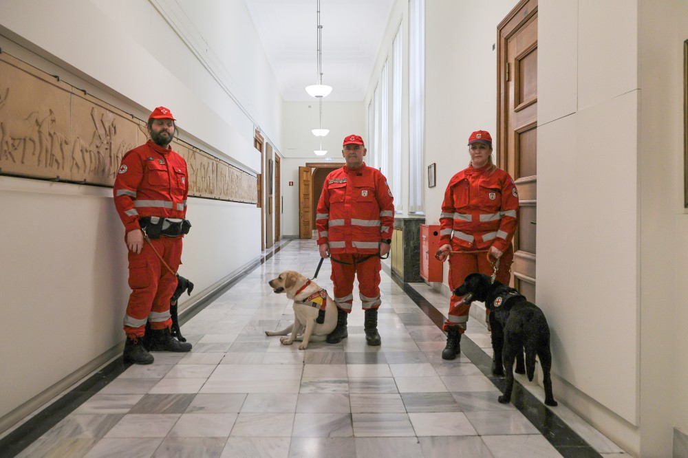 skyloi vouli 25 2 2026