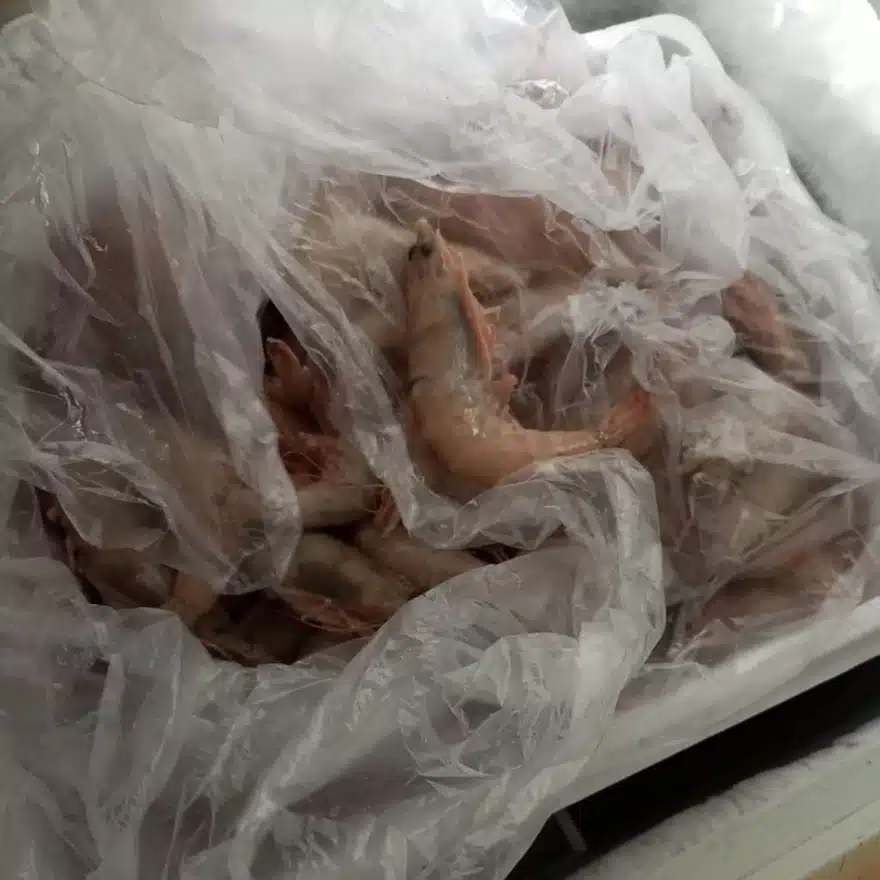 trofima perifereia 3