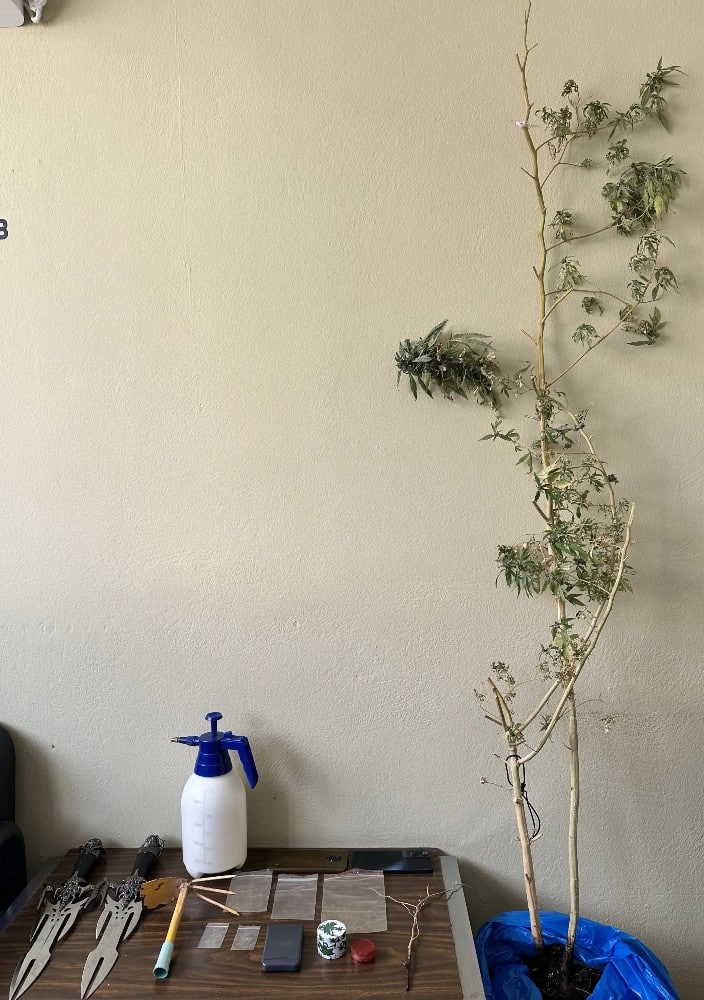 kannavi ilion 15 3 2026