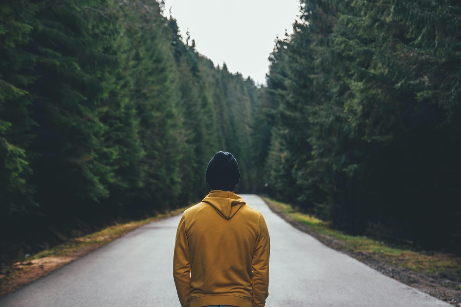 pexels vladbagacian 1634839 1