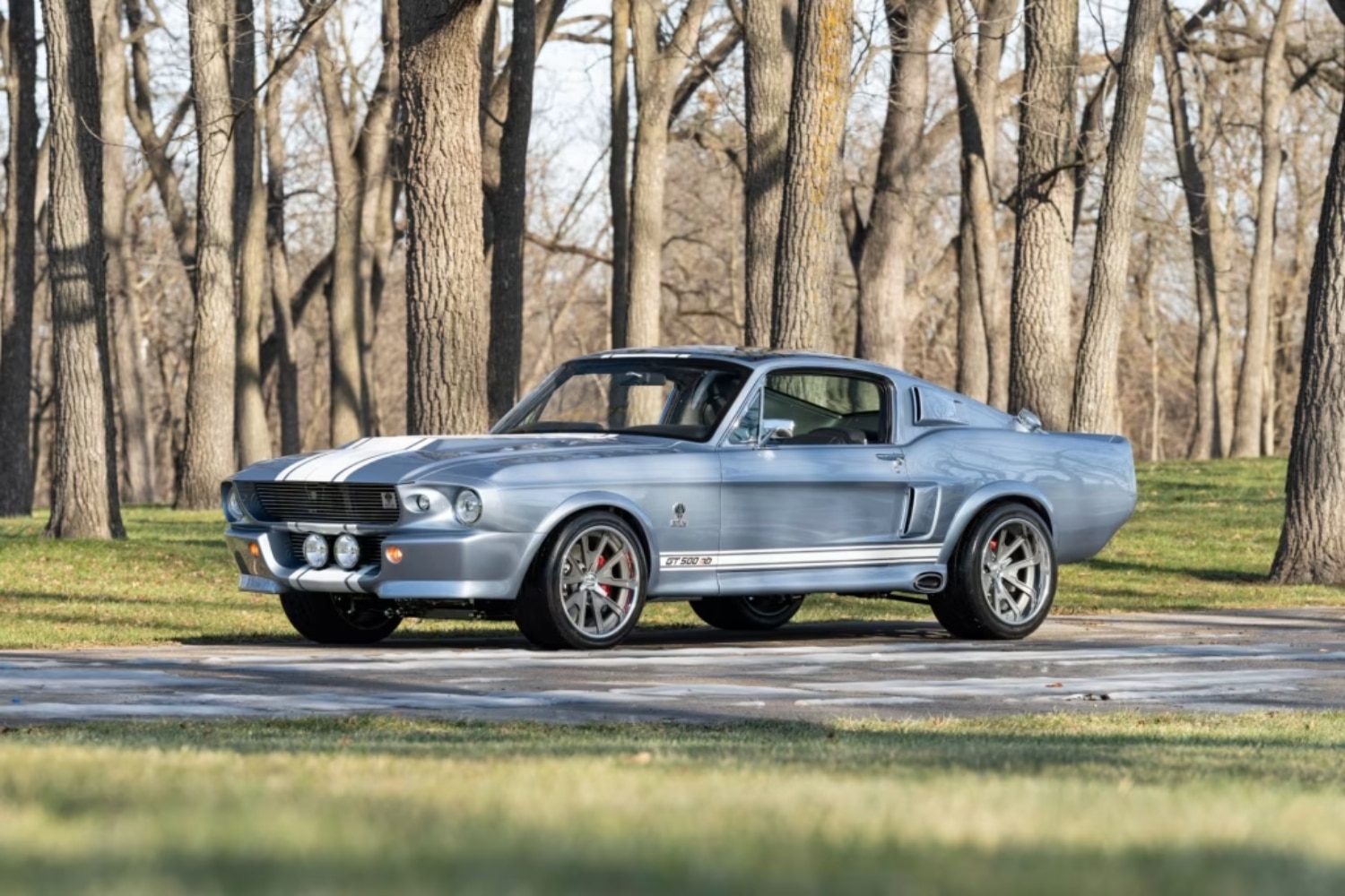 mustang5