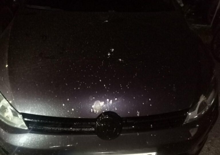 screenshot 34 768x541 1