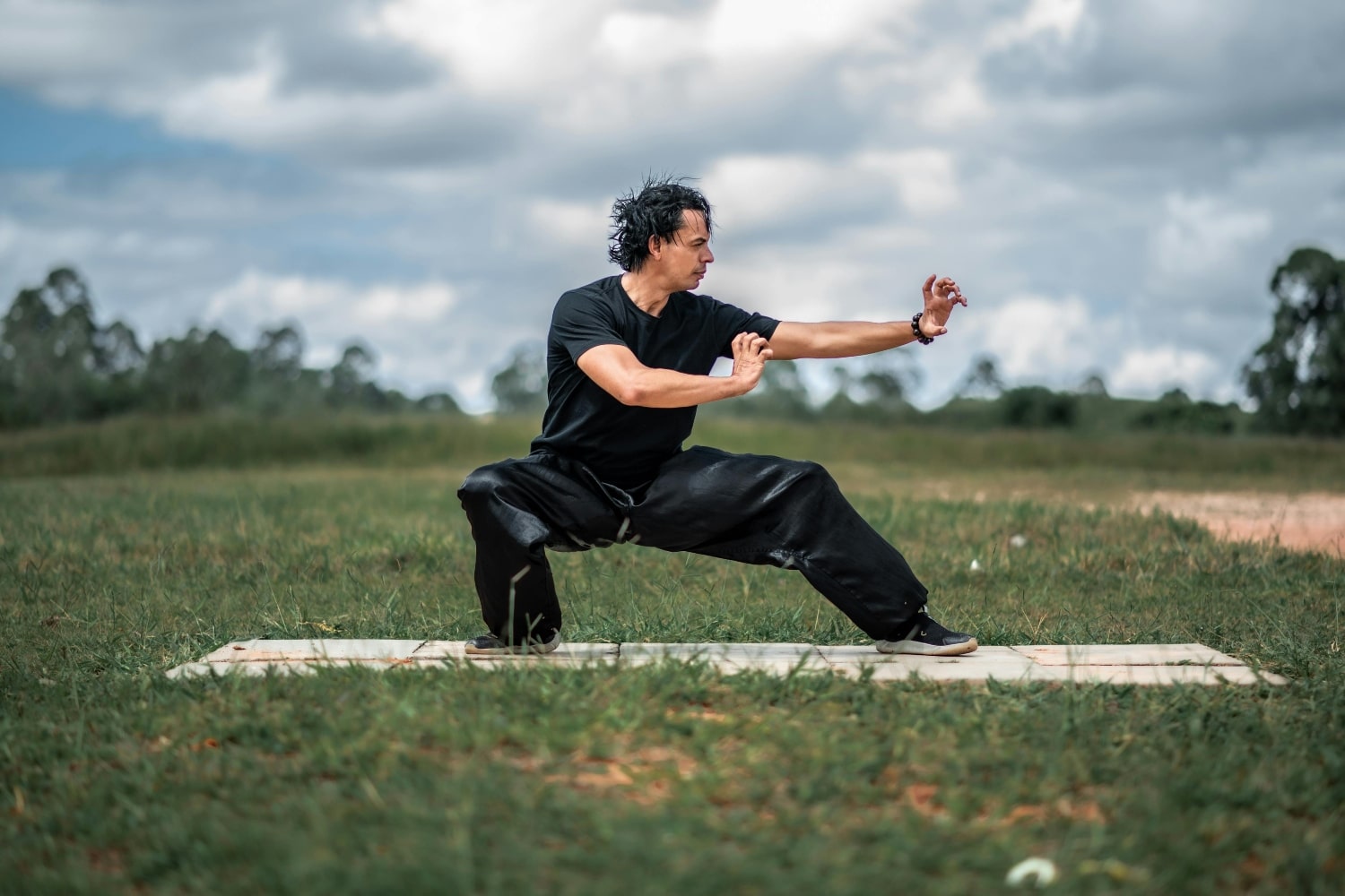 wingchun34