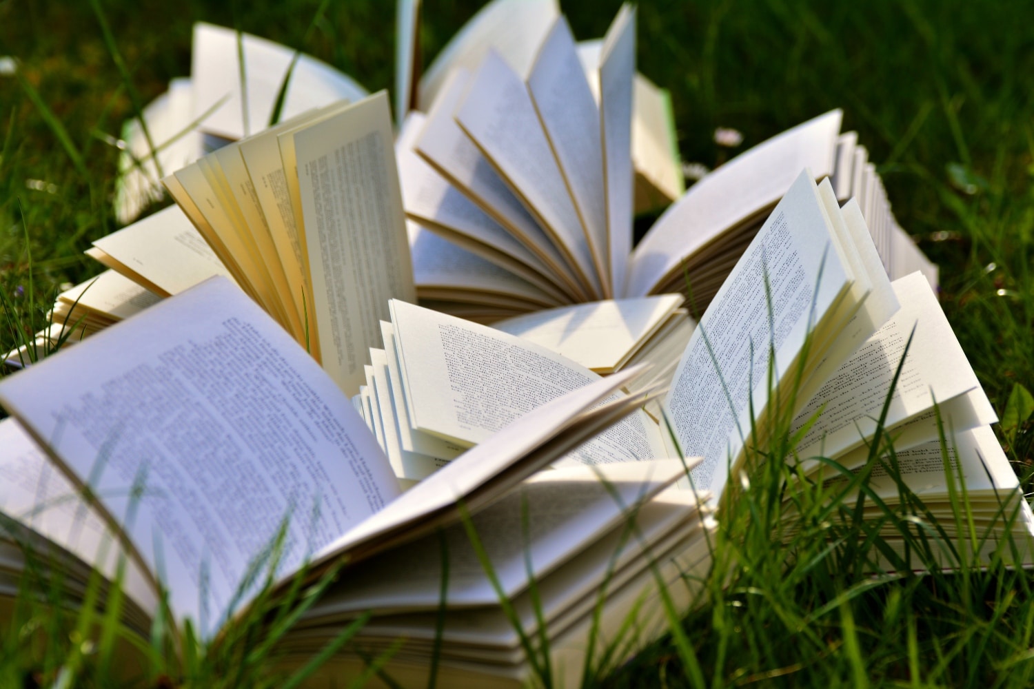 books1