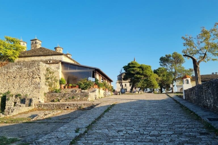 Ιωάννινα: Συνελήφθη καταζητούμενος με κάθειρξη έξι ετών για απόπειρα ληστείας