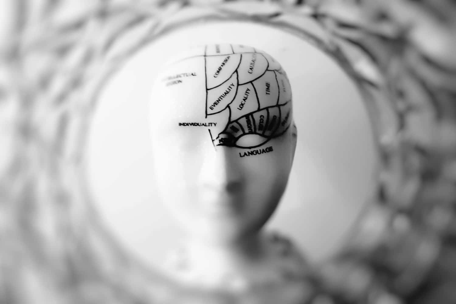 mind2 1