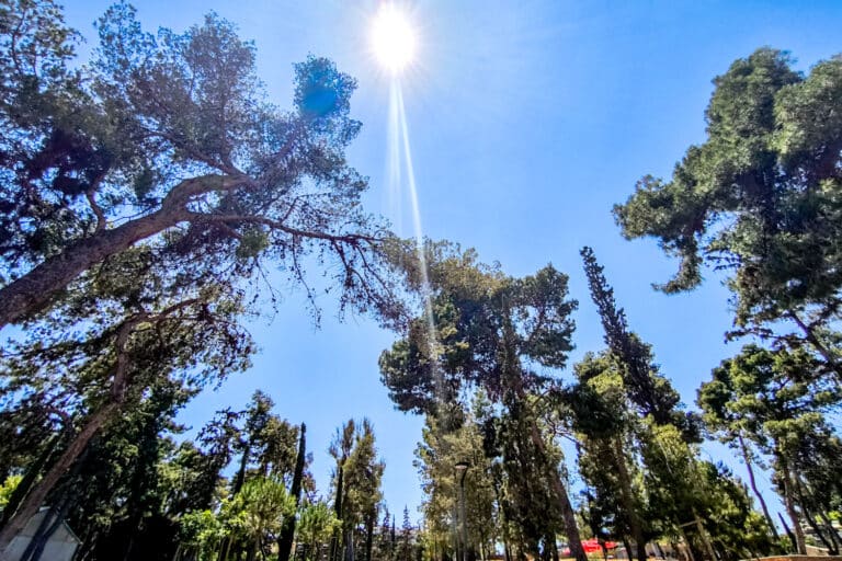 Καιρός: Σε ποιες περιοχές σημειώθηκαν οι υψηλότερες θερμοκρασίες σήμερα – Τι αναφέρει ο Κολυδάς