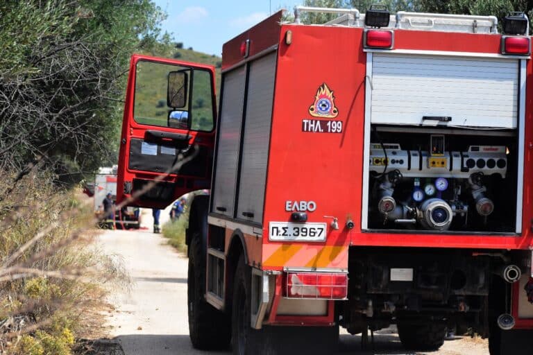 Ημέρα μνήμης για το Πυροσβεστικό Σώμα: Οι τρεις πυροσβέστες που έχασαν τη ζωή τους στη Ζαχάρω