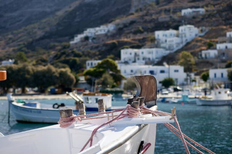 Αμοργός: Συνελήφθη 29χρονος Αμερικανός με πάνω από 700 γραμμάρια κάνναβης και τρία κιλά άγνωστης σκόνης στις αποσκευές του