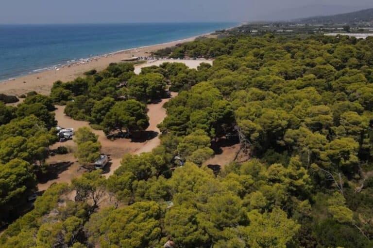 Μεσσηνία: Έφοδος της ΕΛ.ΑΣ. στο δάσος της Ελαίας – Χειροπέδες σε 18 άτομα, τι κατασχέθηκε