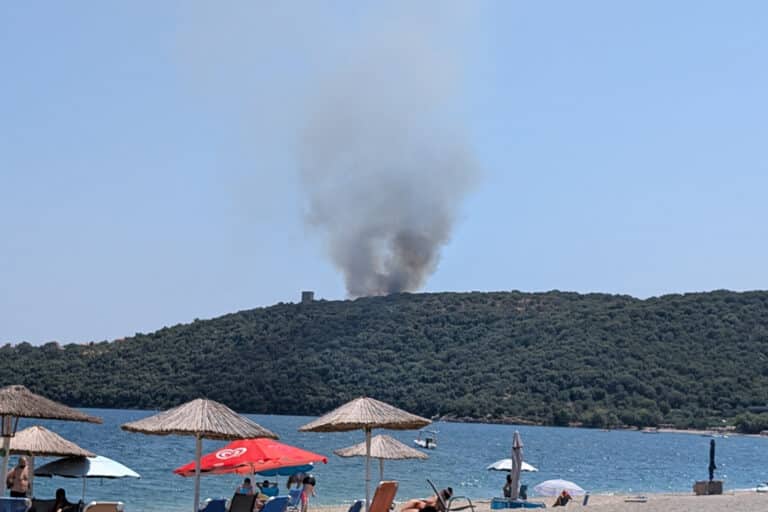 Η ανακοίνωση του ΠΣ για τον πυροσβέστη που έχασε τη ζωή του στο Γύθειο – Επιχειρούσε σε φωτιά στον Αγερανό