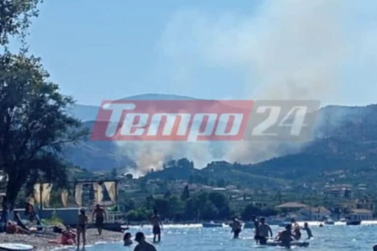 Φωτιά στην Αχαΐα: Ισχυρές πυροσβεστικές δυνάμεις επιχειρούν στις Νεραντζιές Αιγιαλείας