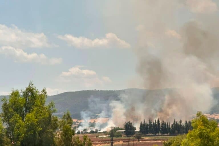 Φωτιά τώρα στα Οινόφυτα – Συναγερμός στην Πυροσβεστική