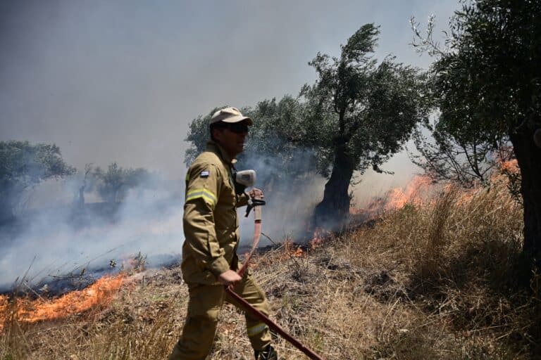 Συνελήφθη γυναίκα για φωτιά στη Χίο – «Καμπάνα» άνω των 2.000 ευρώ