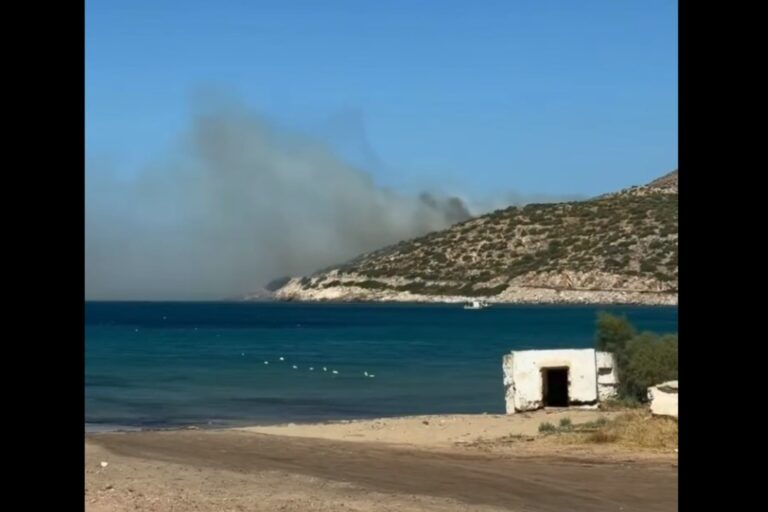 Φωτιά τώρα στην Κερατέα στην περιοχή Χάρακας – «Χτύπησε» 112, κυκλοφοριακές ρυθμίσεις στην Αθηνών-Σουνίου (βίντεο)