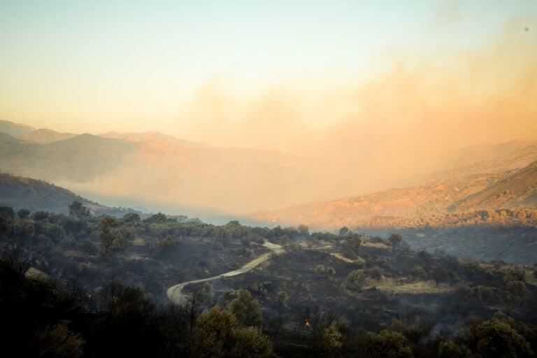 Ανεξέλεγκτη η φωτιά στο Ρέθυμνο: Ξεπερνά τα 15 χλμ. το μέτωπο – Δεν μπορούν να επιχειρήσουν τα εναέρια μέσα λόγω των ισχυρών ανέμων