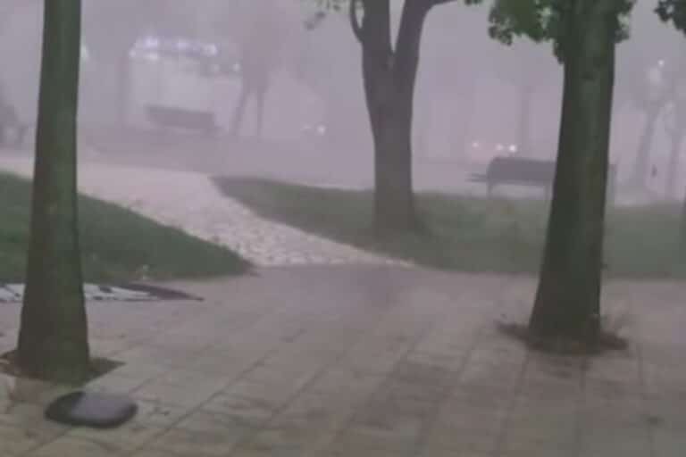 Πτώση δέντρου στο Ίλιον πάνω σε ταξί μετά το μπουρίνι στην Αττική – Πληροφορίες για εγκλωβισμένο άτομο (βίντεο)