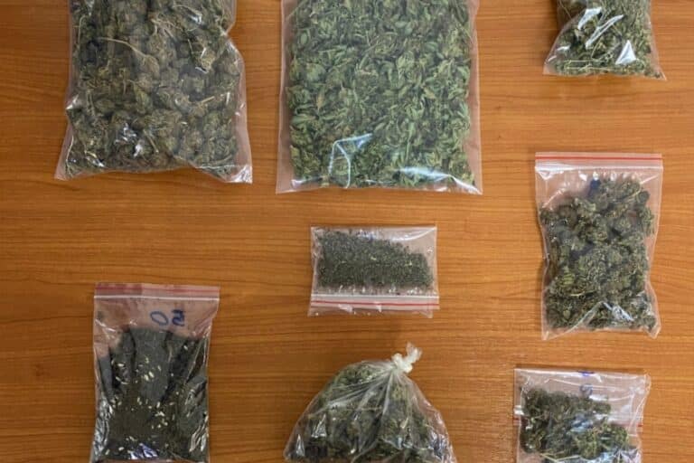 Πιερία: Συνελήφθη άνδρας για καλλιέργεια κάνναβης – Είχε οργανώσει θερμοκήπιο, εντοπίστηκαν ναρκωτικά και στο σπίτι του