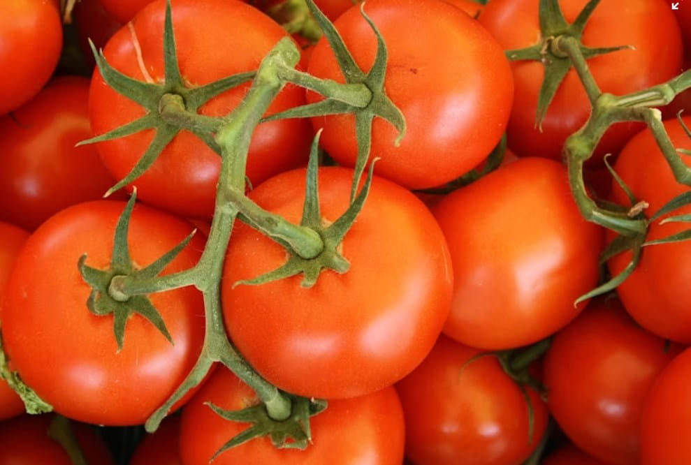 ntomates