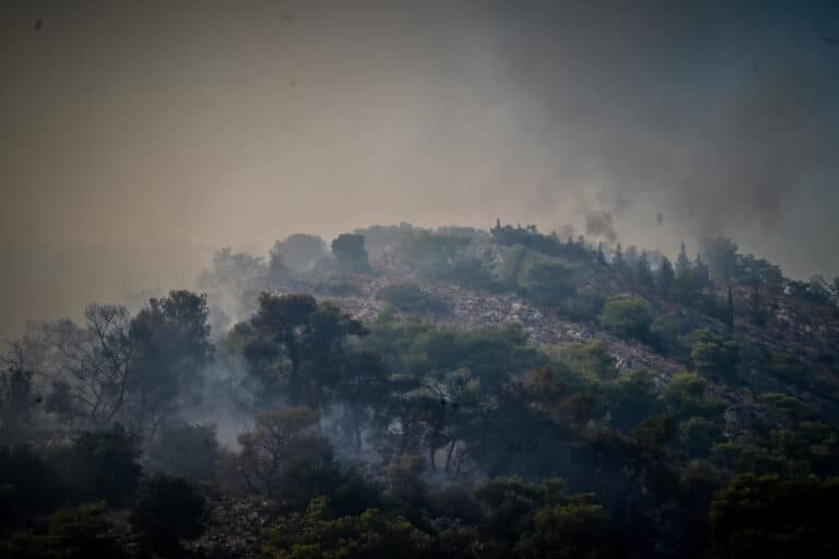 Meteo: Κάηκε το 64% των δασών της Δυτικής Αττικής μέσα σε μία δεκαετία