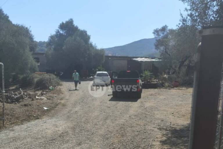 Ρέθυμνο: Στα χέρια της ΕΛ.ΑΣ. οι δράστες που πυροβόλησαν και έκοψαν τη γλώσσα κτηνοτρόφου το 2024