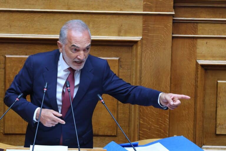 «Κόλαφος» ο Σαλμάς κατά του Γεωργιάδη: «Να ανοίξει ξανά η υπόθεση Novartis» – Αποφασίστηκε η άρση ασυλίας του (βίντεο)