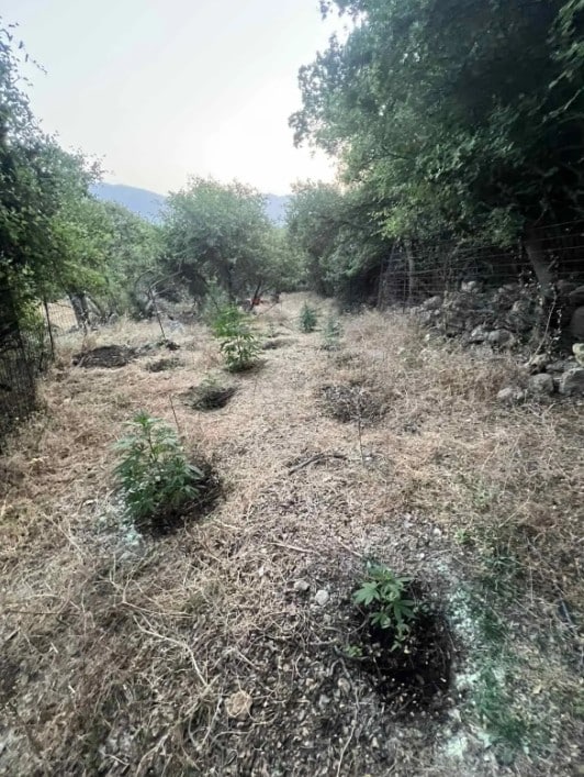 screenshot 2 7