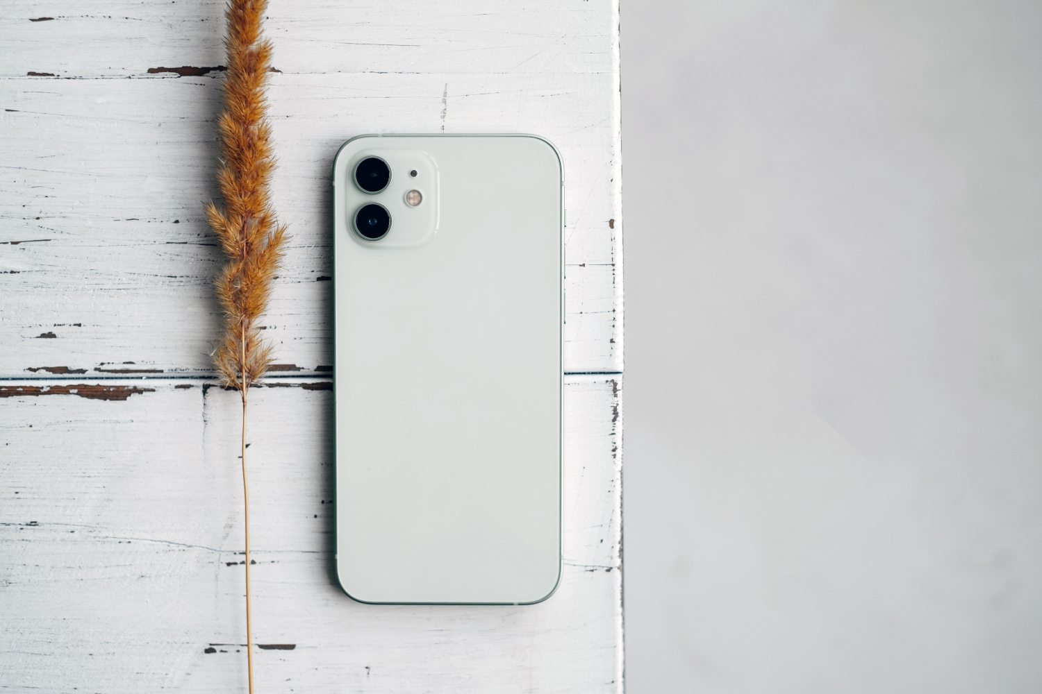 smart phone