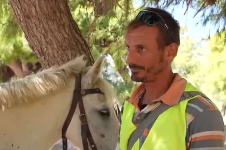 Άνδρος: Πρόστιμο 700 ευρώ σε άνδρα που εντοπίστηκε μεθυσμένος πάνω στο άλογό του (βίντεο)