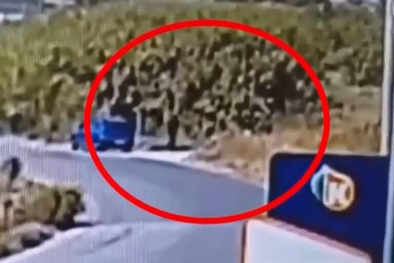 Θεσσαλονίκη: «Ήμουν πιεσμένος από τη δουλειά, το έκανα για εκτόνωση», ισχυρίστηκε ο 59χρονος εμπρηστής της Σίνδου (βίντεο)