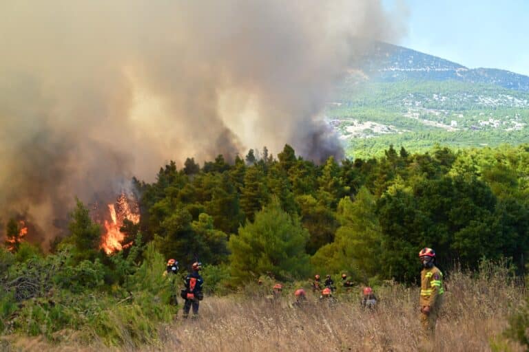 Φωτιά στη Δυτική Αττική: Στο Κανδήλι το ισχυρότερο μέτωπο, ζημιές σε δεκάδες σπίτια – Διακοπή κυκλοφορίας στη Μάνδρα (βίντεο)