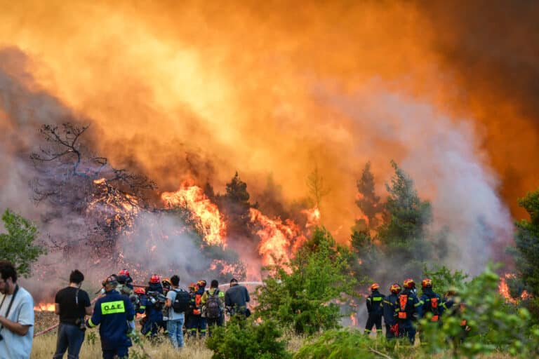 Φωτιά στην Αττικοβοιωτία: Πώς οργανώθηκε η επιχείρηση διάσωσης και εκκένωσης πολιτών