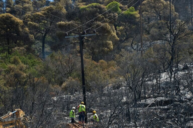 Φωτιά στη Δυτική Αττική: «Η καταστροφή είναι ολική, κάηκε το 90% του Όρους Πατέρα» λέει ο Αντιδήμαρχος Μεγαρέων