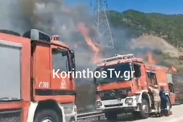 Φωκίδα: Φωτιά στην περιοχή Σκάλωμα – Ήχησε το «112» (βίντεο)