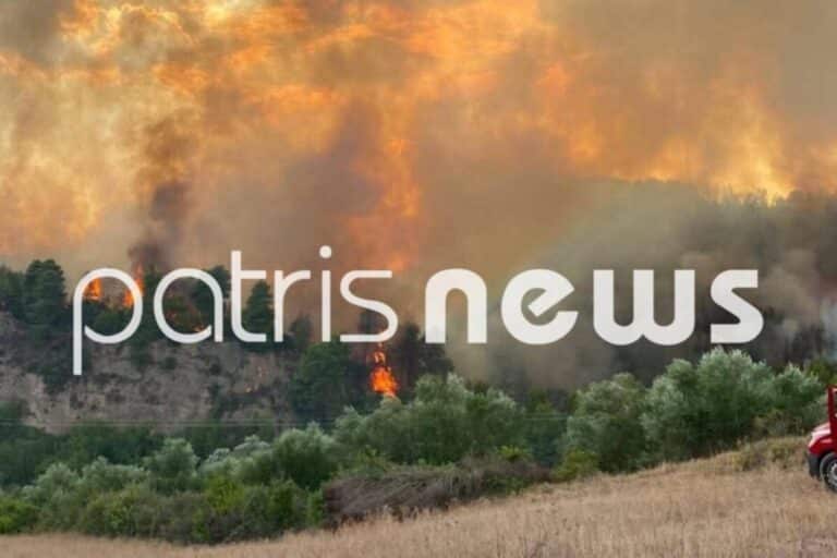 Βελτιωμένη η εικόνα της δασικής πυρκαγιάς στο Μουζάκι Ηλείας – Επιχειρούν μόνο επίγειες δυνάμεις