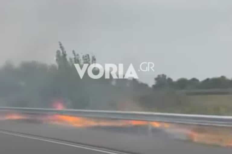 Ημαθία: Η στιγμή που ξεσπά φωτιά σε χόρτα από φλεγόμενο φορτηγό στην Εγνατία (βίντεο)