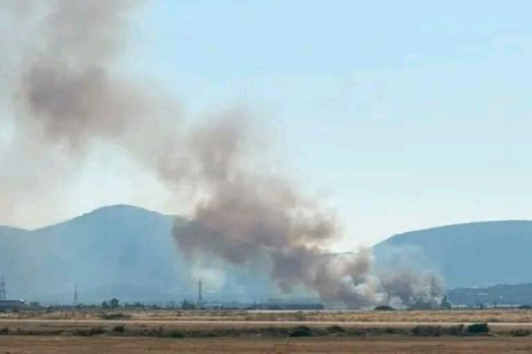 Φωτιά στο Κορωπί, κοντά στην Αττική Οδό: Ισχυρές δυνάμεις της Πυροσβεστικής στο σημείο