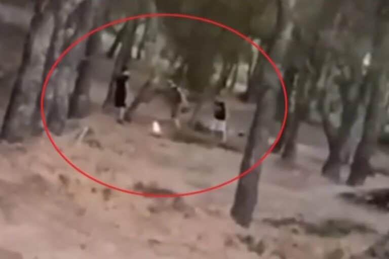 Βίντεο: Ανήλικοι φέρονται να έβαλαν φωτιά στο δάσος των Άνω Βριλησσίων και μετά να την έσβησαν – Τους αναζητά η Πυροσβεστική