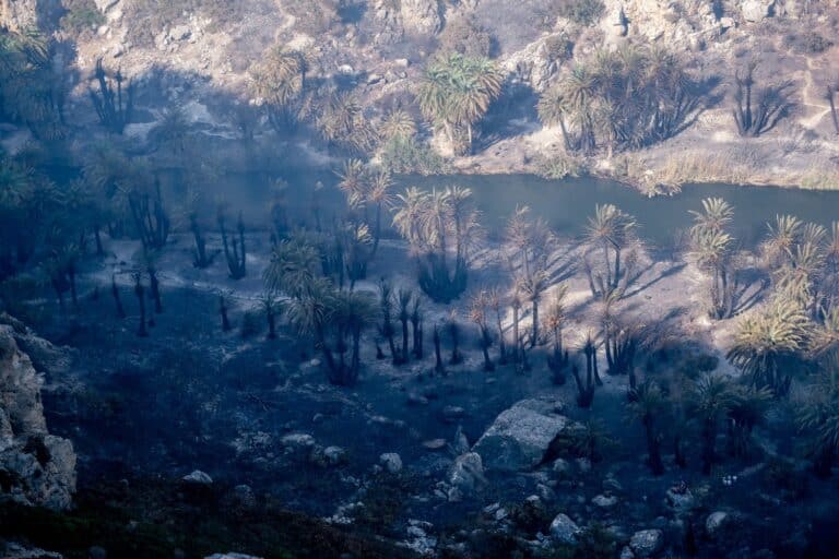 Φωτιά στο Ρέθυμνο: Ξεπέρασαν τα 47.000 στρέμματα οι καμένες εκτάσεις (εικόνα)