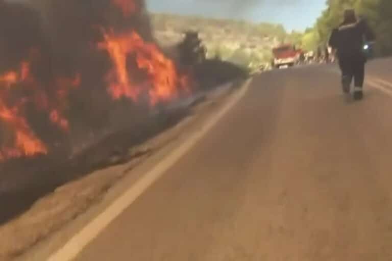 Φωτιά στη Σαλαμίνα: Στιγμές πανικού για συνεργείο του Open – «Κώστα τρέχα, θα καούμε!» (βίντεο)
