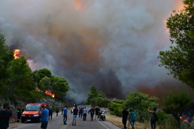 Κόλαση φωτιάς στη Βοιωτία: Σπίτια και χιλιάδες στρέμματα έγιναν στάχτη – Συνεχείς εκκενώσεις, καίγονται οικίες και στη Φωκίδα