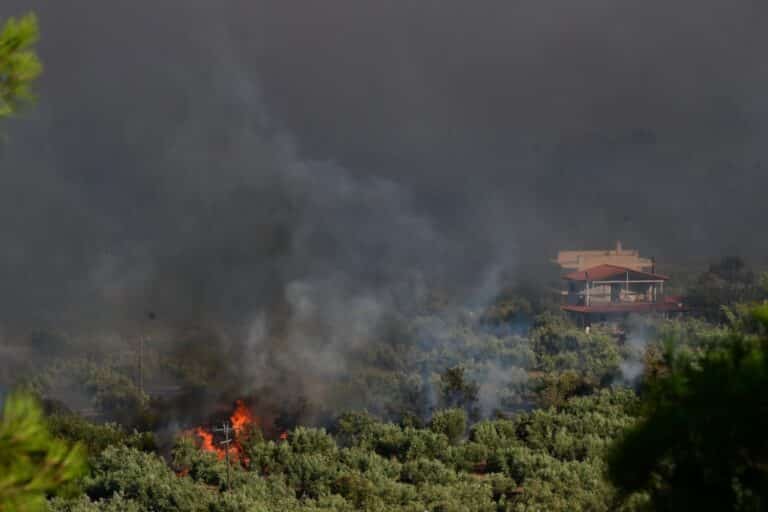Τρία άτομα στη φυλακή για την καταστροφική φωτιά στη Βοιωτία: Ποιοι έχουν προσφύγει στη Δικαιοσύνη, «λουκέτο» στο αιολικό πάρκο