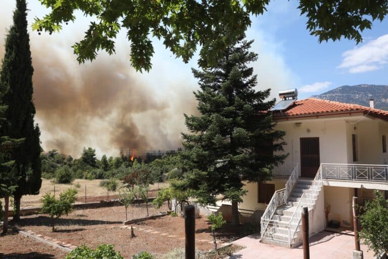Θήβα: Στον εισαγγελέα οδηγούνται οι δύο συλληφθέντες για τη φωτιά στη Βοιωτία που επεκτάθηκε στην Αττική