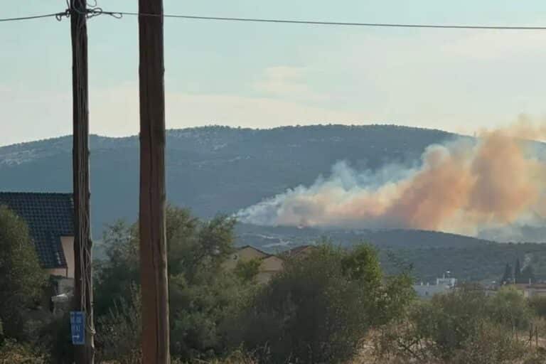 Φωτιά στα Αϊβαλιώτικα Βόλου: Μήνυμα του 112 για ετοιμότητα – Επιχειρούν δύο ελικόπτερα