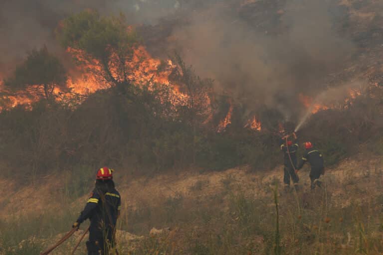 Εύβοια: Φωτιά σε δασική έκταση στην περιοχή Παραδείσι – Ήχησε το 112