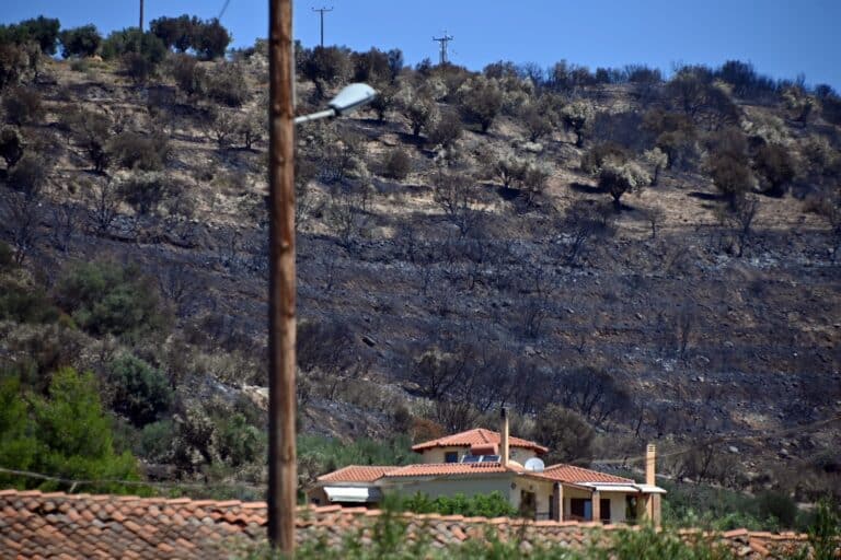 Φωτιές: Συνελήφθησαν 11 άτομα σε Αργολίδα, Ηλεία, Αττική και Λέσβο – Από αγροτικές εργασίες η μεγάλη πυρκαγιά στο Φίχτι