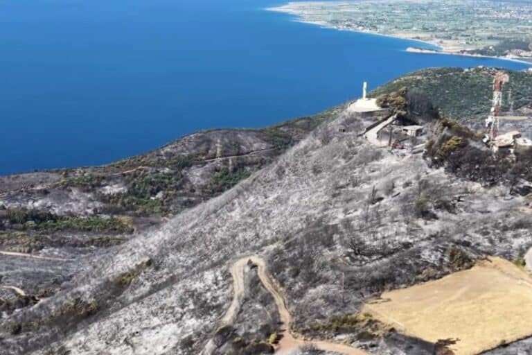 Φωκίδα: Drone κατέγραψε την καταστροφή που άφησε πίσω της η φωτιά – Κάηκαν εκατοντάδες στρέμματα (βίντεο)