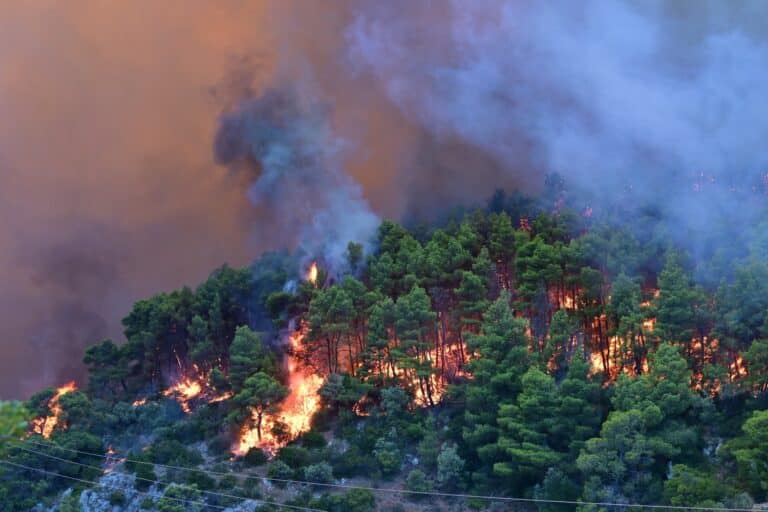 Πολύ υψηλός κίνδυνος πυρκαγιάς αύριο (15/8) σε Αττική και άλλες εννέα περιφέρειες