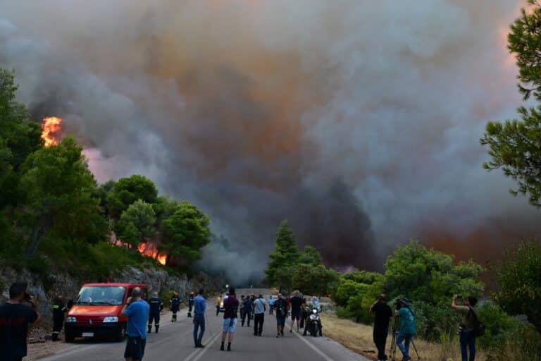 Δύο συλλήψεις για τη μεγάλη φωτιά στη Βοιωτία: Ξεκίνησε από σπινθήρες σε δίκτυο με ανεμογεννήτριες – Εντοπίστηκαν μέσω βίντεο