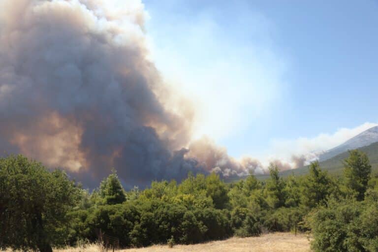 Φωτιές σε Βοιωτία και Δυτική Αττική: Προφυλακίστηκαν ο δήμαρχος Στυλίδας, ο μηχανικός και ο ιδιοκτήτης του αιολικού πάρκου